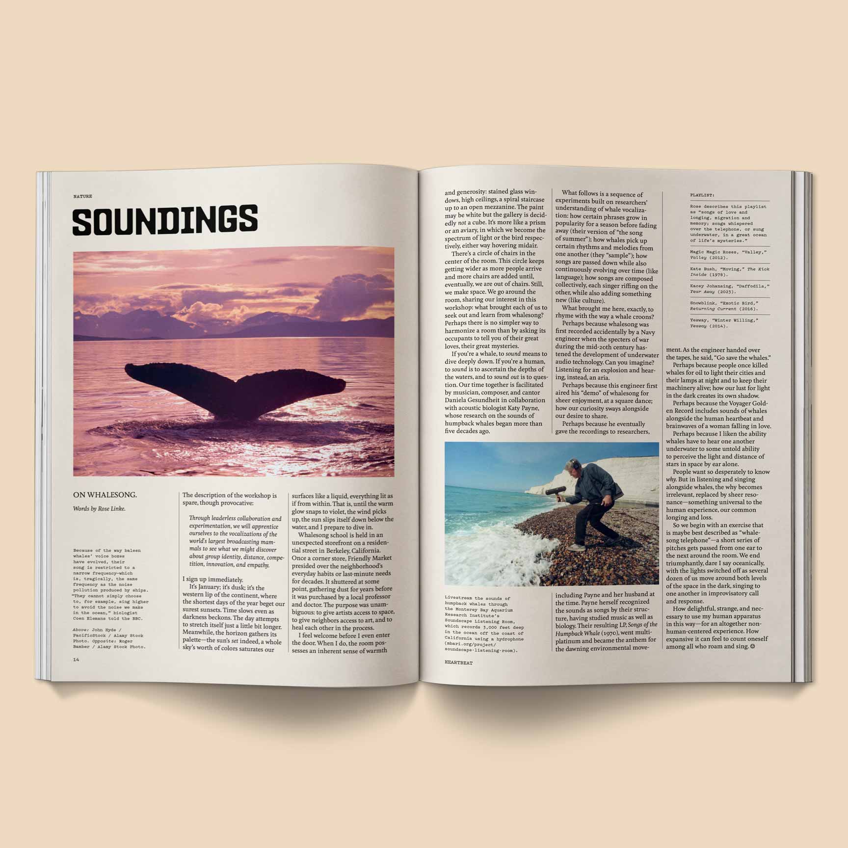 Broccoli – Heartbeat Magazine: Music, Sound, Emotion