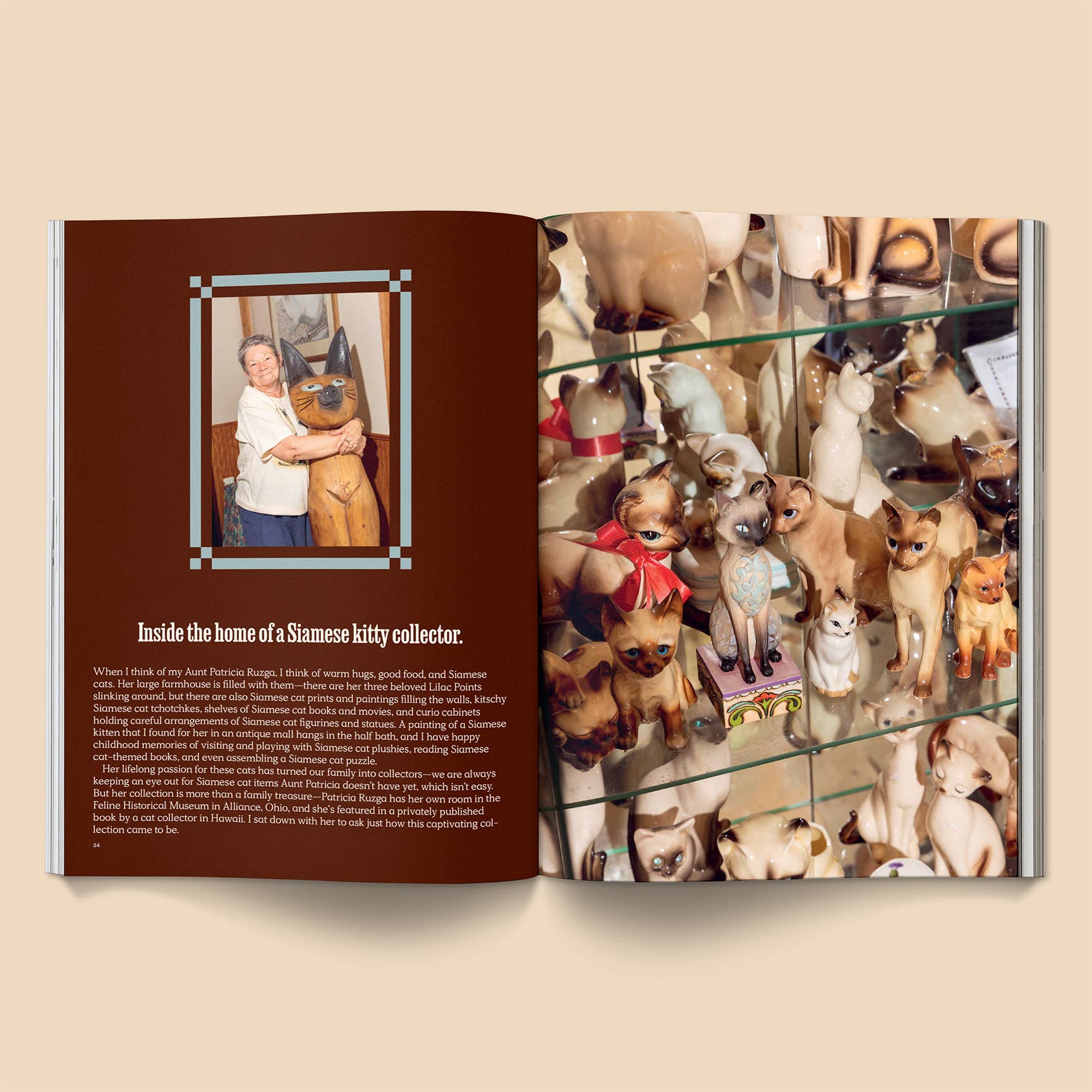 Broccoli – Catnip Magazine: Volume 2