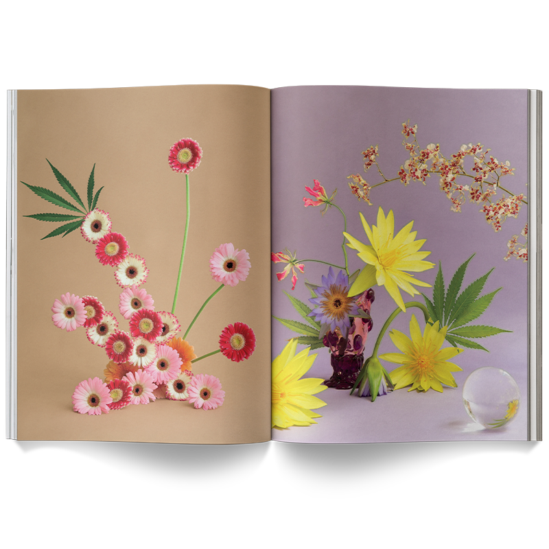 Broccoli – A Weed is a Flower Coffee Table Book