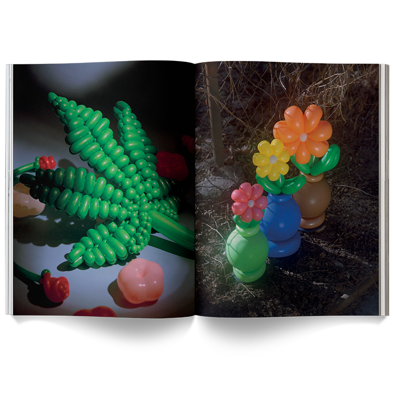 Broccoli – A Weed is a Flower Coffee Table Book