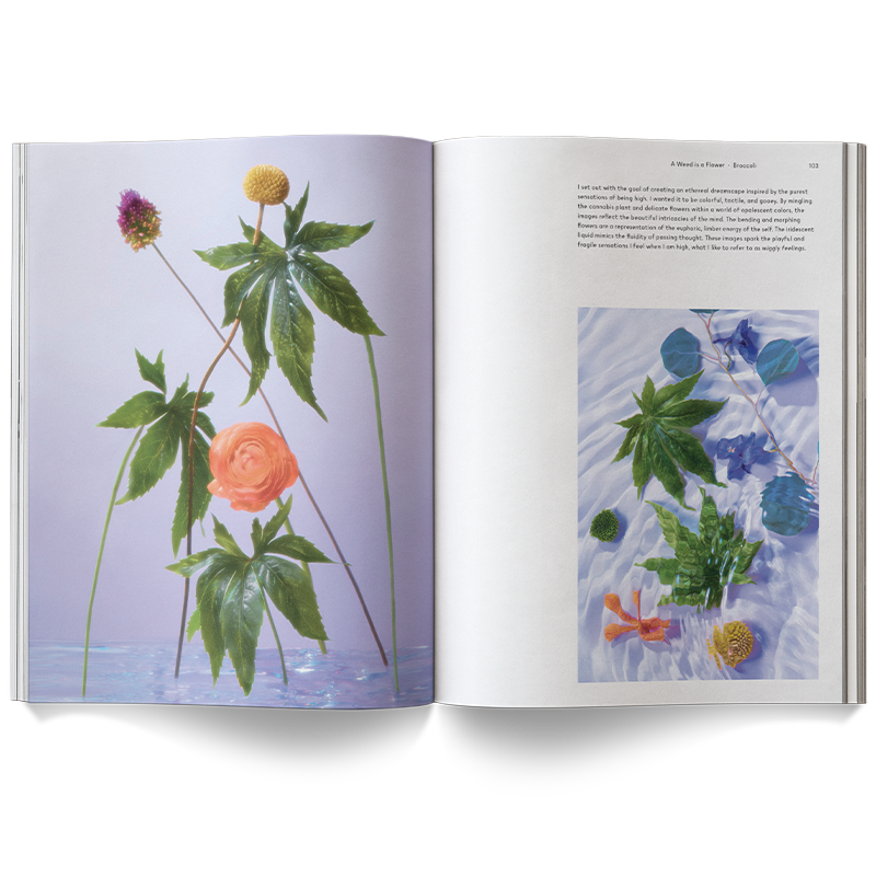 Broccoli – A Weed is a Flower Coffee Table Book