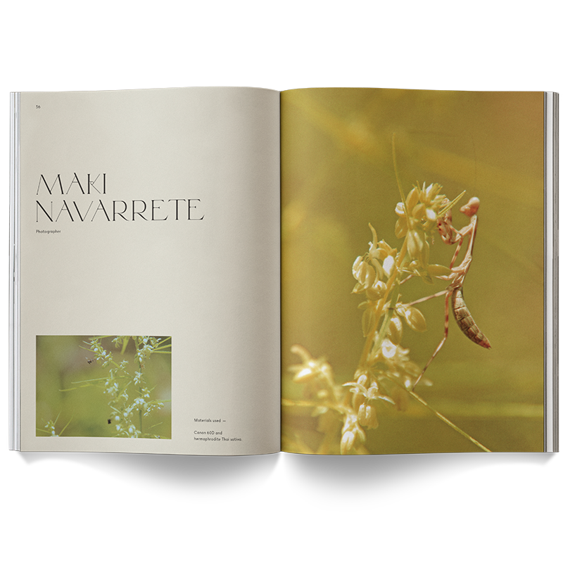 Broccoli – A Weed is a Flower Coffee Table Book