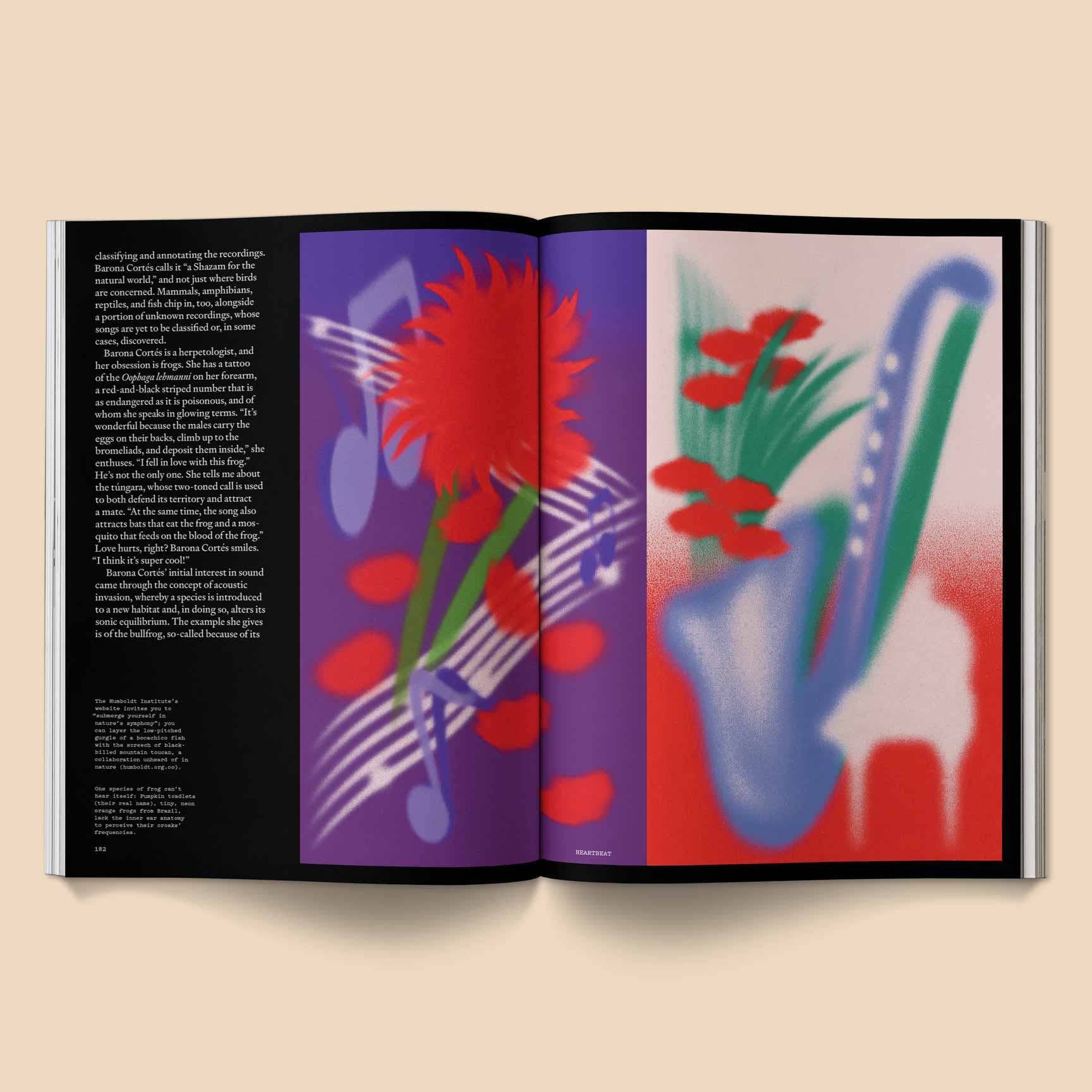 Broccoli – Heartbeat Magazine: Music, Sound, Emotion