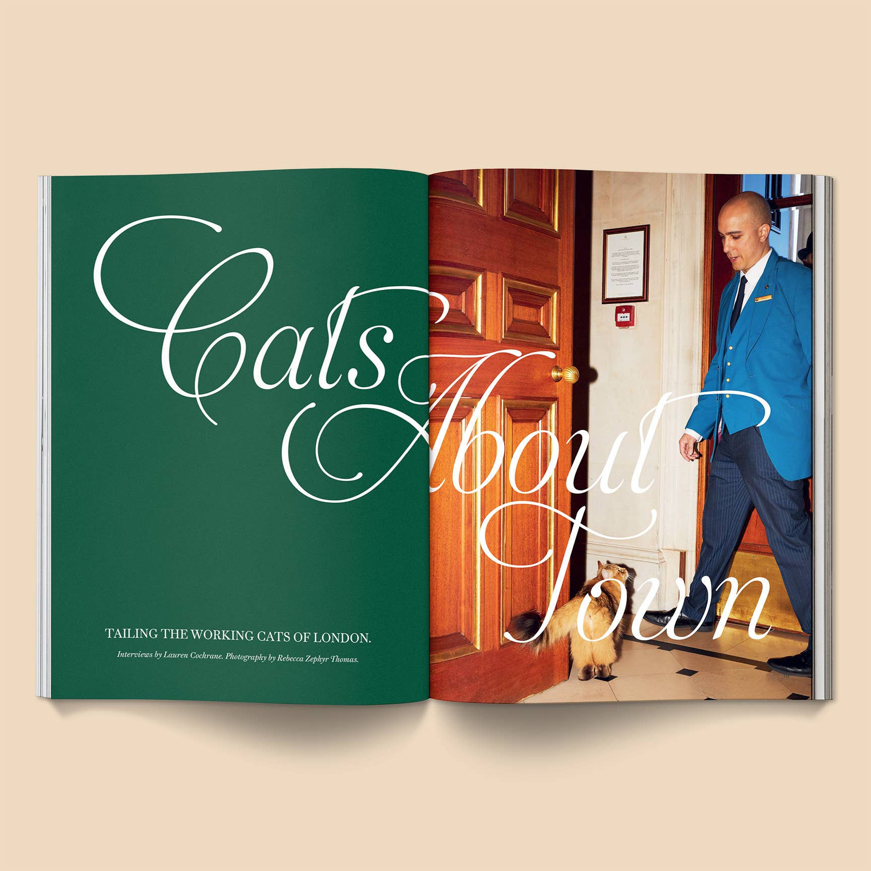 Broccoli – Catnip Magazine: Volume 2