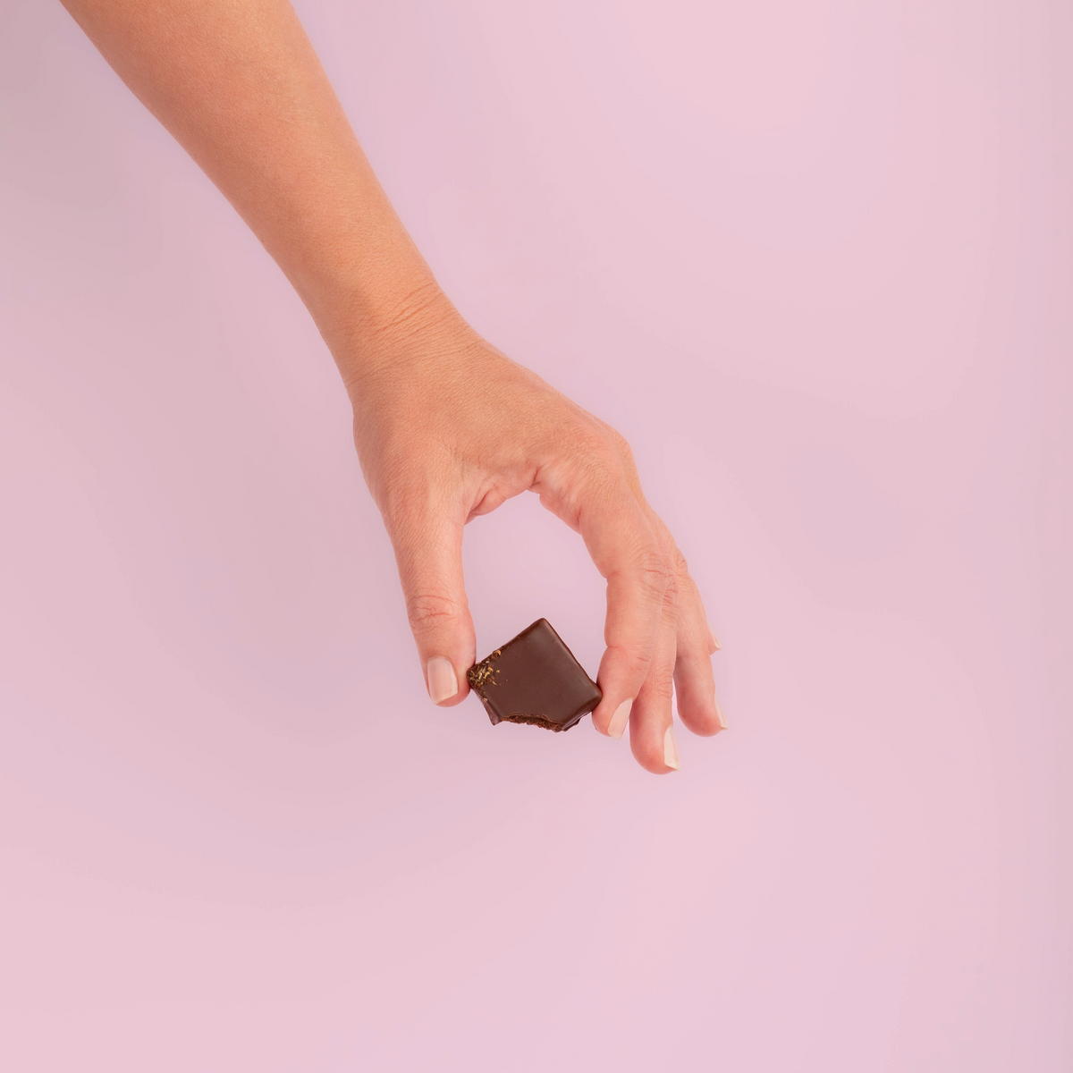 Baron Hasselhoff's “Bollywood Disco” Chai Spice Chocolate Truffles
